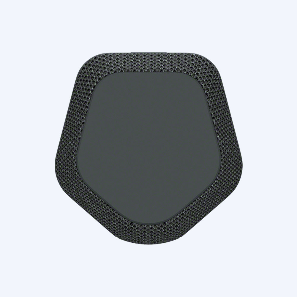 SRS-XE200 X-Series Portable Wireless Speaker